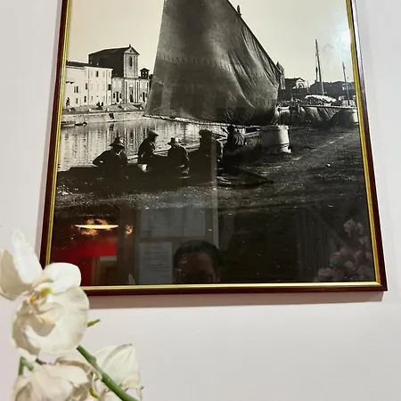 Hotel Rose Nuove Rimini