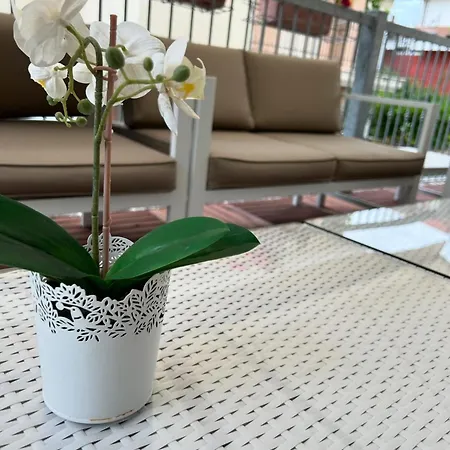 Hotel Rose Nuove