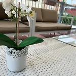 Otel Rose Nuove