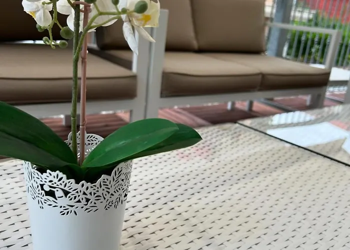 Hotel Rose Nuove